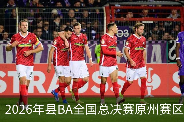 2026年县BA全国总决赛原州赛区落幕 宁夏原州队夺冠