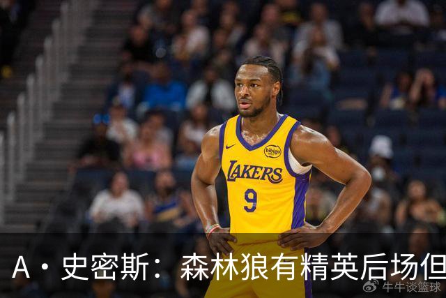 A·史密斯：森林狼有精英后场但体型变小 难应对雷霆马刺火箭掘金